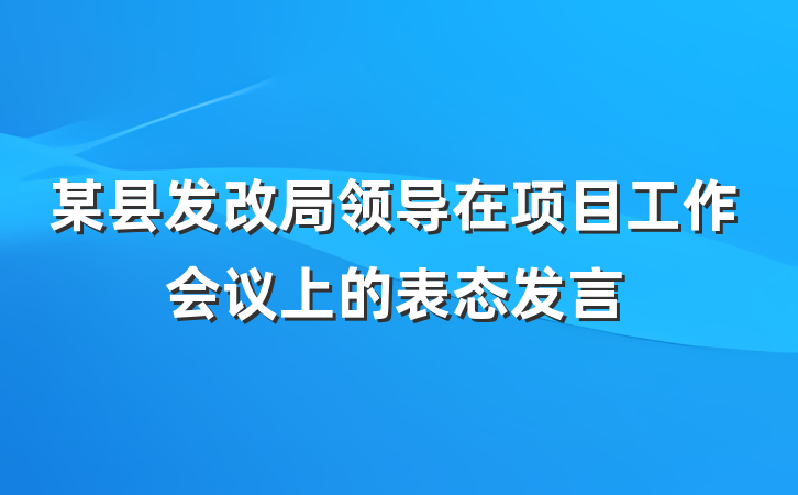 某县发改局领导在项目工作会议上的表态发言