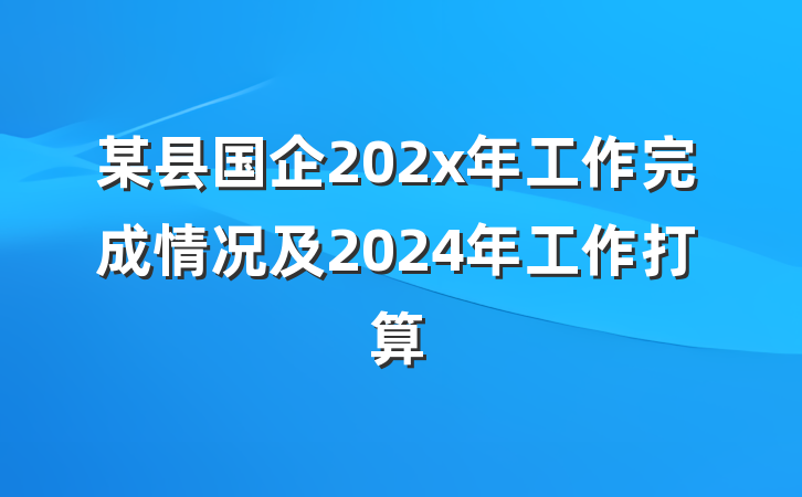 某县国企202x年工作完成情况及2024年工作打算