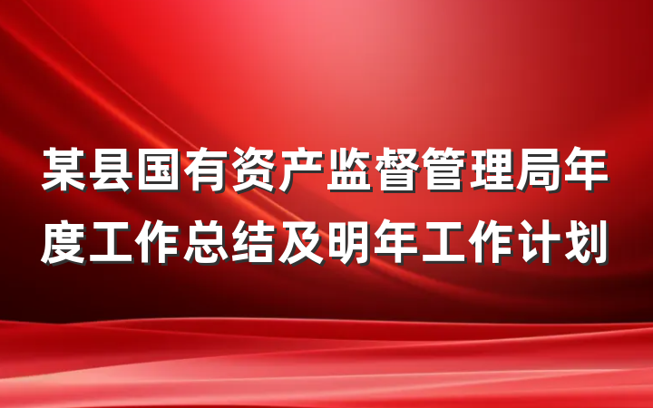 某县国有资产监督管理局年度工作总结及明年工作计划