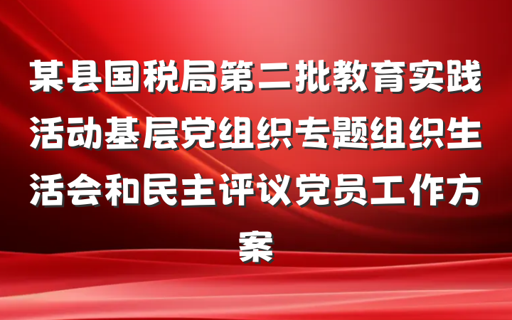 某县国税局第二批教育实践活动基层党组织专题组织生活会和民主评议党员工作方案