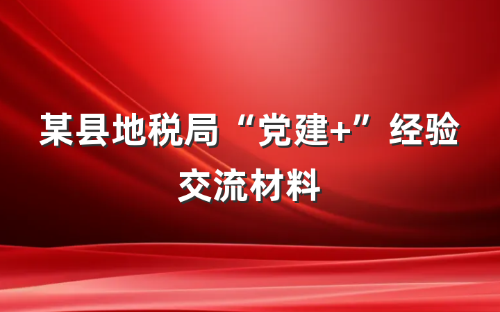 某县地税局“党建+”经验交流材料