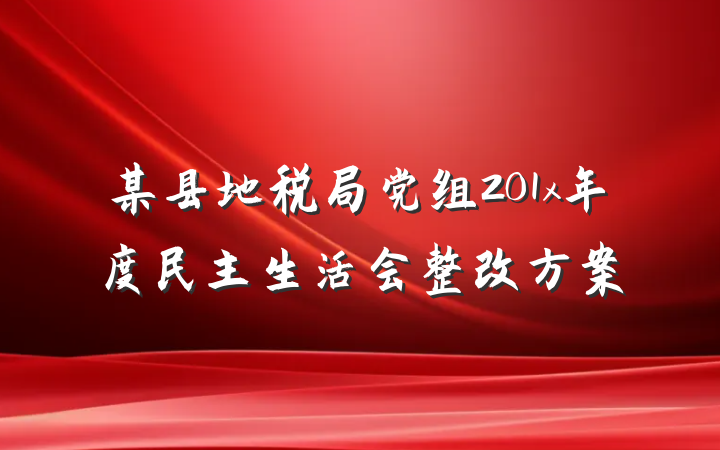 某县地税局党组201x年度民主生活会整改方案