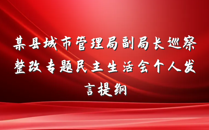 某县城市管理局副局长巡察整改专题民主生活会个人发言提纲