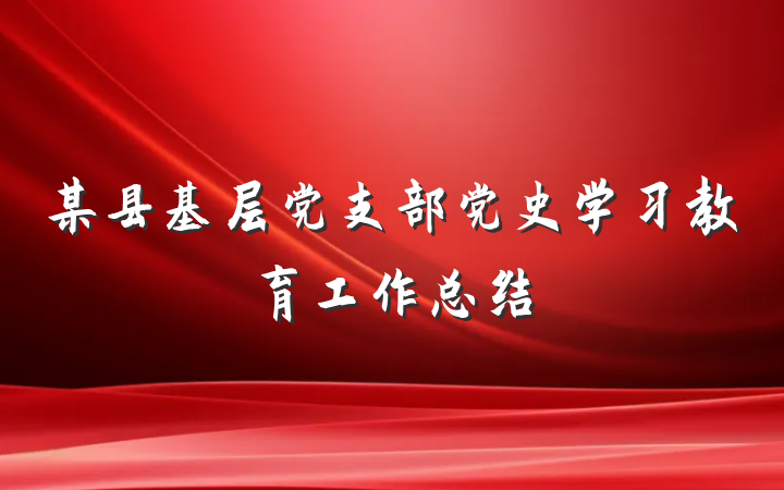 某县基层党支部党史学习教育工作总结