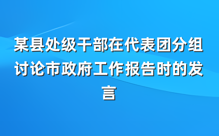 某县处级干部在代表团分组讨论市政府工作报告时的发言