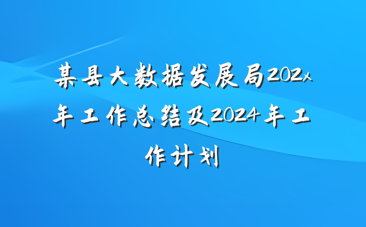 某县大数据发展局202x年工作总结及2024年工作计划