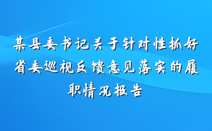 某县委书记关于针对性抓好省委巡视反馈意见落实的履职情况报告