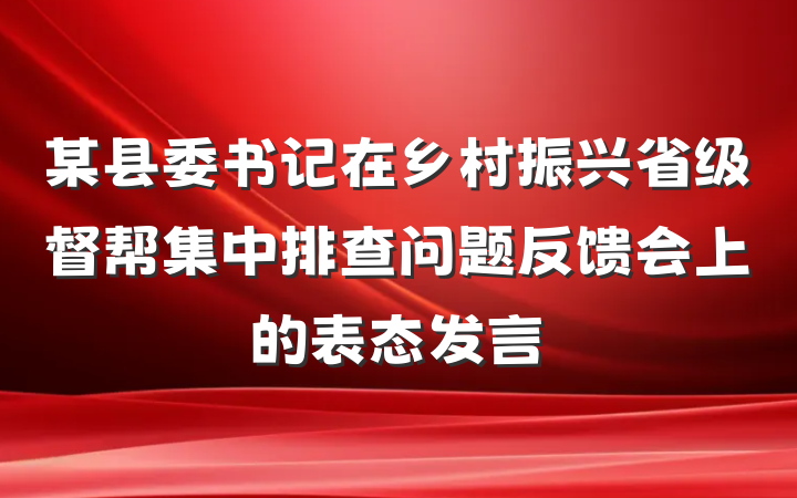 某县委书记在乡村振兴省级督帮集中排查问题反馈会上的表态发言