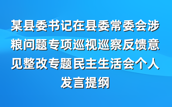 某县委书记在县委常委会涉粮问题专项巡视巡察反馈意见整改专题民主生活会个人发言提纲