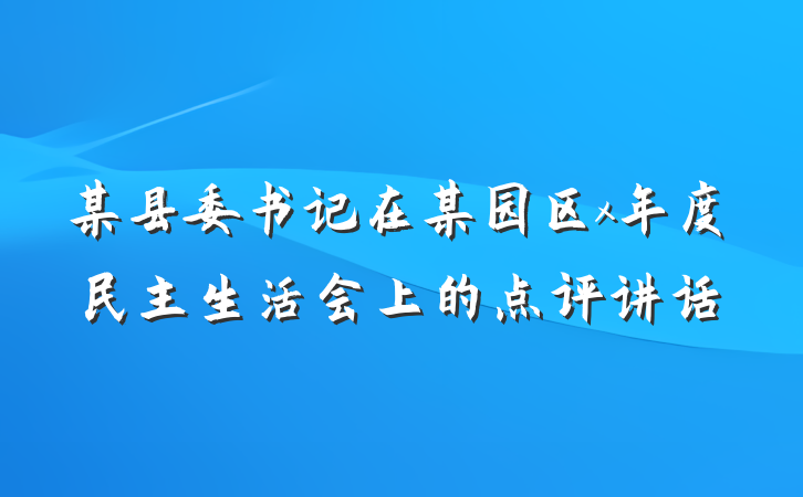 某县委书记在某园区x年度民主生活会上的点评讲话