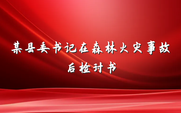 某县委书记在森林火灾事故后检讨书