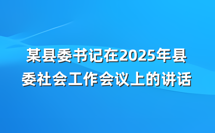 某县委书记在2025年县委社会工作会议上的讲话