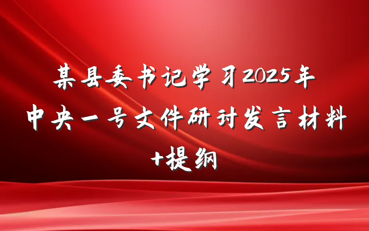 某县委书记学习2025年中央一号文件研讨发言材料 提纲