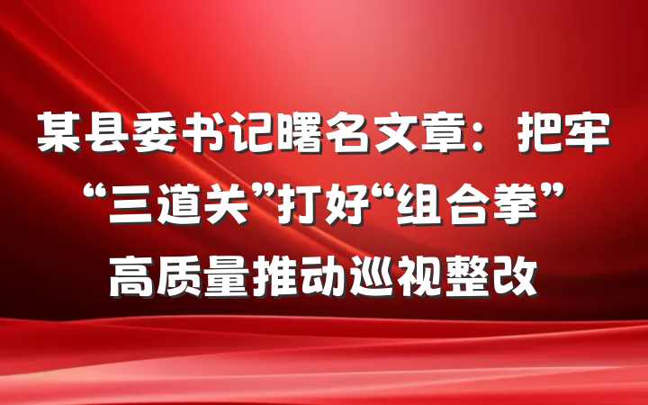 某县委书记曙名文章：把牢“三道关”打好“组合拳”高质量推动巡视整改