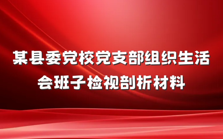 某县委党校党支部组织生活会班子检视剖析材料