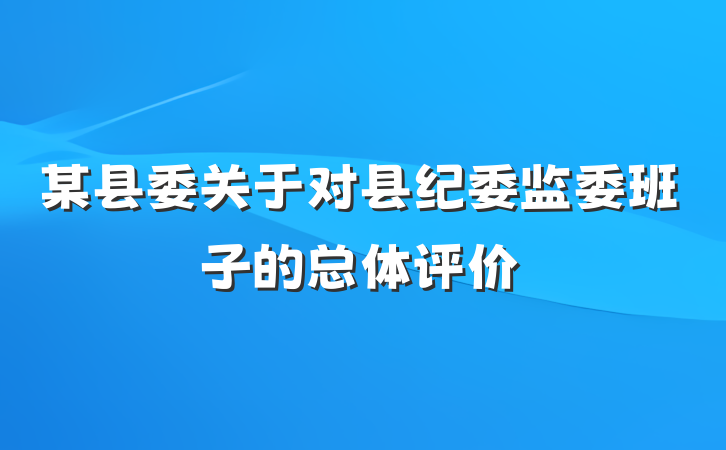某县委关于对县纪委监委班子的总体评价