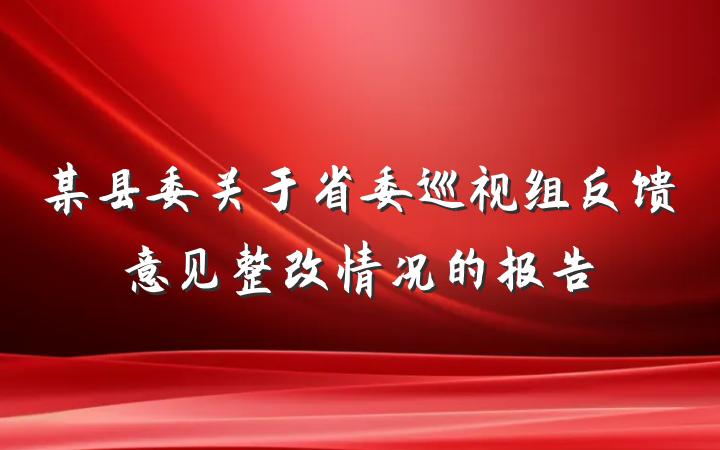 某县委关于省委巡视组反馈意见整改情况的报告