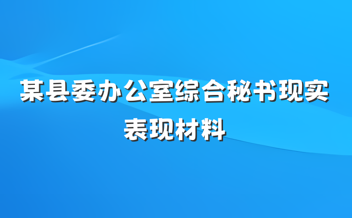 某县委办公室综合秘书现实表现材料