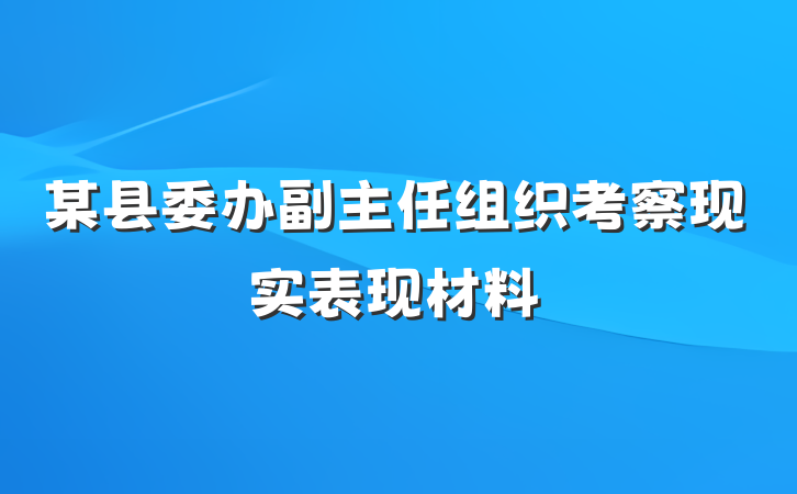 某县委办副主任组织考察现实表现材料