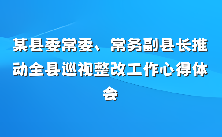 某县委常委、常务副县长推动全县巡视整改工作心得体会