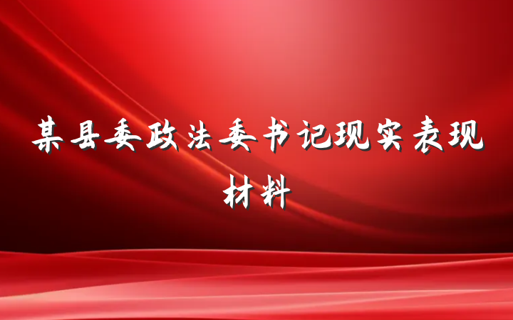 某县委政法委书记现实表现材料
