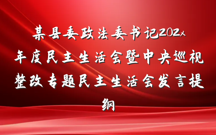 某县委政法委书记202x年度民主生活会暨中央巡视整改专题民主生活会发言提纲