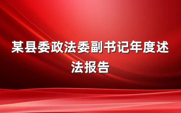 某县委政法委副书记年度述法报告