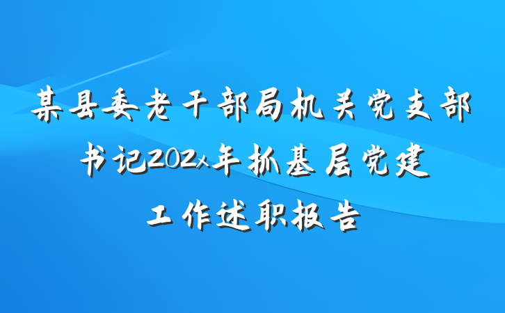 某县委老干部局机关党支部书记202x年抓基层党建工作述职报告