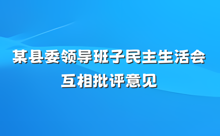 某县委领导班子民主生活会互相批评意见