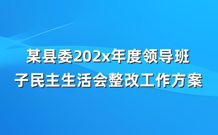 某县委202x年度领导班子民主生活会整改工作方案