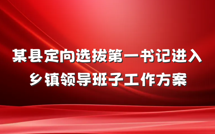 某县定向选拔第一书记进入乡镇领导班子工作方案