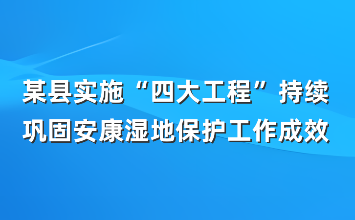 某县实施“四大工程”持续巩固安康湿地保护工作成效
