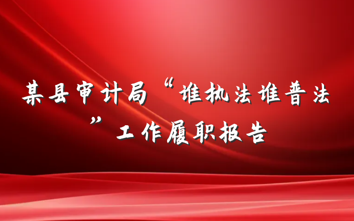 某县审计局“谁执法谁普法”工作履职报告