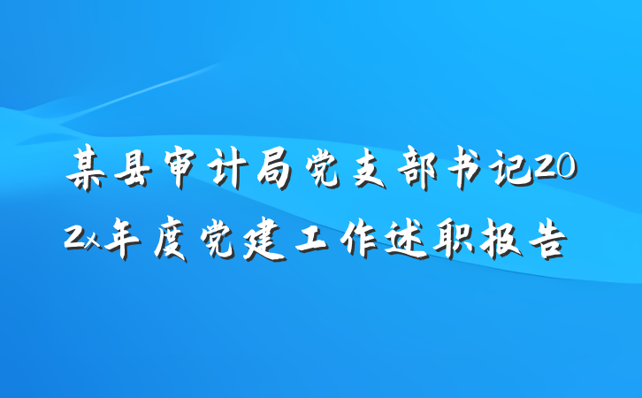 某县审计局党支部书记202x年度党建工作述职报告