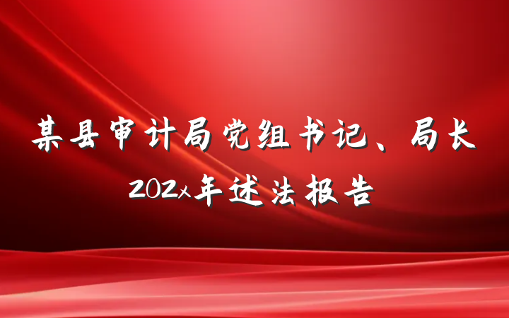 某县审计局党组书记、局长202x年述法报告