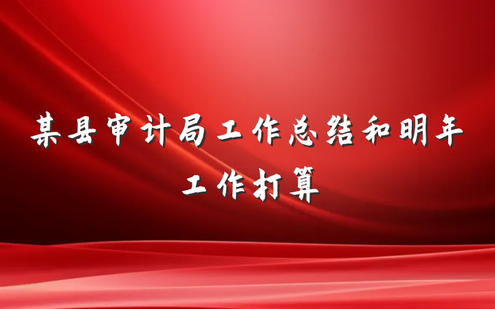 某县审计局工作总结和明年工作打算