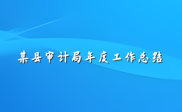 某县审计局年度工作总结
