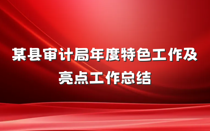 某县审计局年度特色工作及亮点工作总结