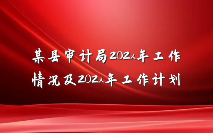 某县审计局202x年工作情况及202x年工作计划
