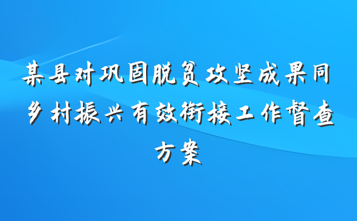某县对巩固脱贫攻坚成果同乡村振兴有效衔接工作督查方案