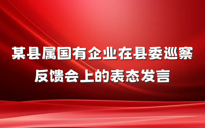 某县属国有企业在县委巡察反馈会上的表态发言