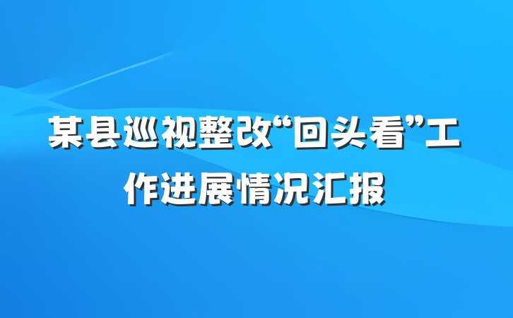 某县巡视整改“回头看”工作进展情况汇报