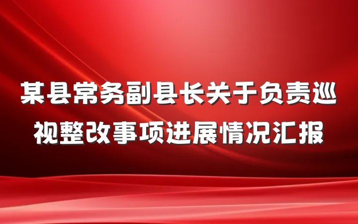 某县常务副县长关于负责巡视整改事项进展情况汇报