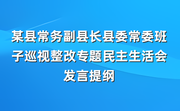 某县常务副县长县委常委班子巡视整改专题民主生活会发言提纲
