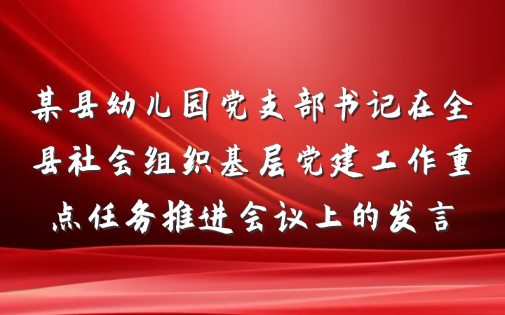 某县幼儿园党支部书记在全县社会组织基层党建工作重点任务推进会议上的发言