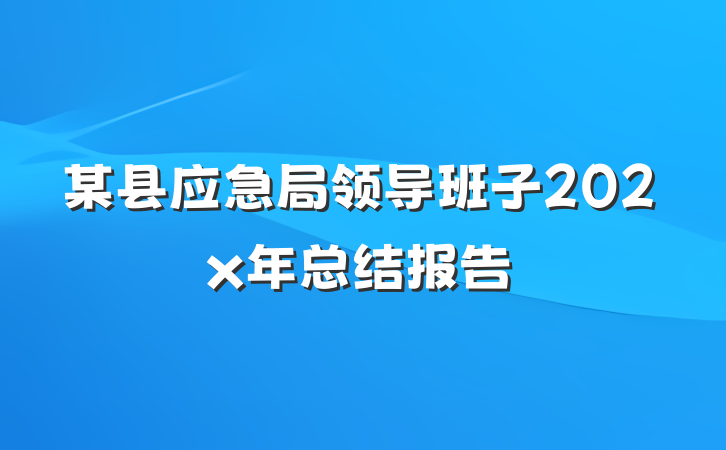 某县应急局领导班子202x年总结报告