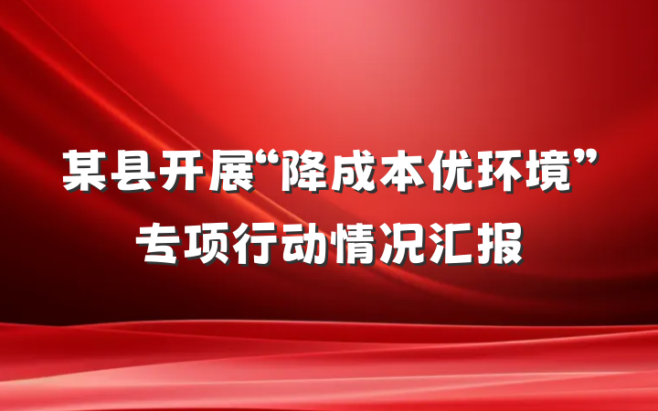 某县开展“降成本优环境”专项行动情况汇报