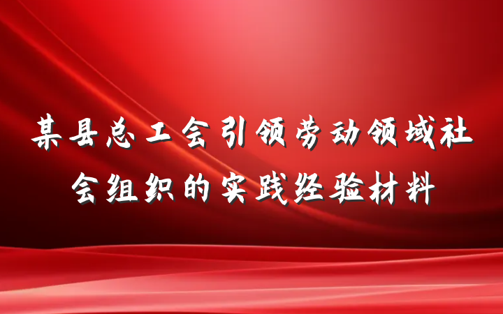 某县总工会引领劳动领域社会组织的实践经验材料