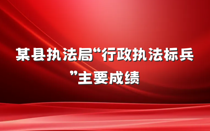 某县执法局“行政执法标兵”主要成绩