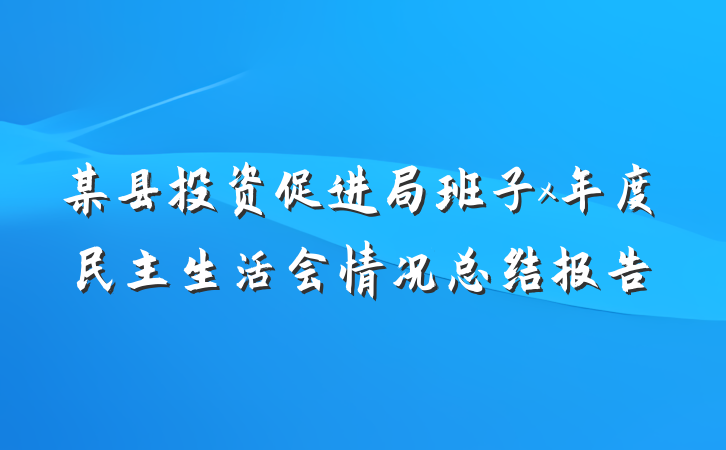某县投资促进局班子x年度民主生活会情况总结报告